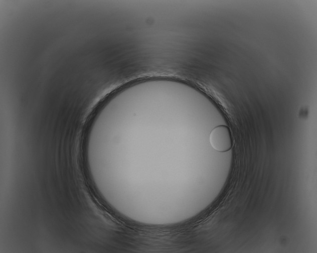X0000094810684200711161004