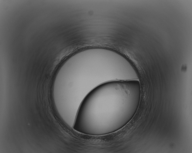X0000094810685200711161004
