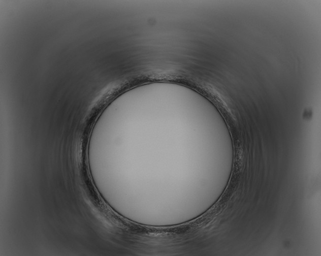 X0000094810686200711161004