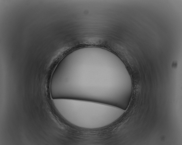 X0000094810688200711161004