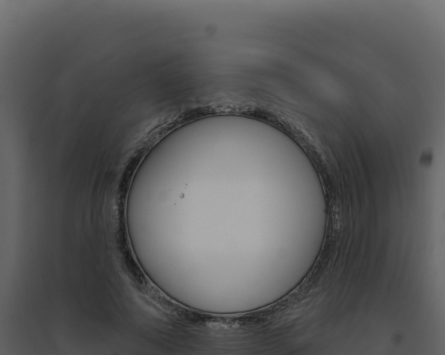 X0000094810690200711161004