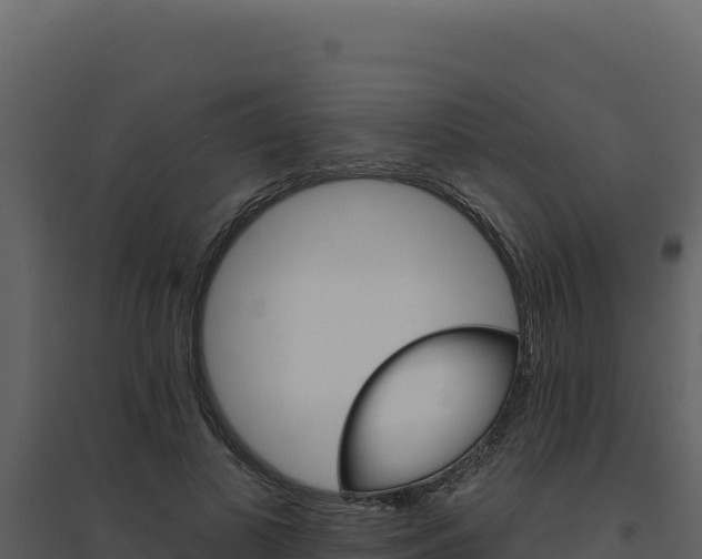 X0000094810693200711161004