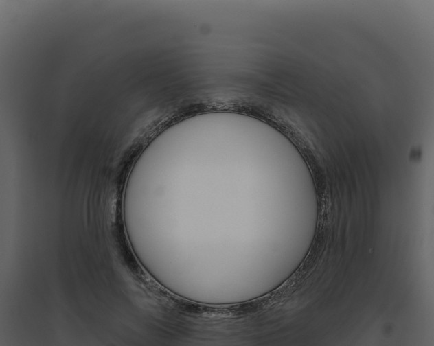 X0000094810694200711161004