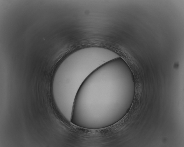 X0000094810696200711161004