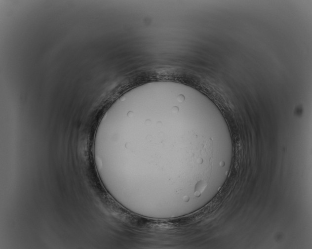 X0000094810698200711161004