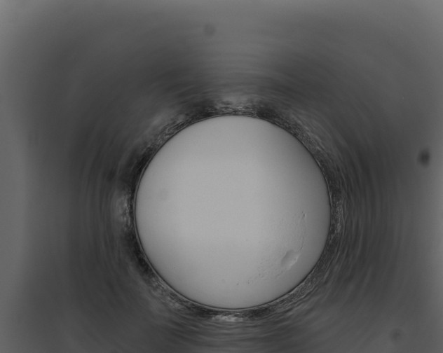X0000094810699200711161004