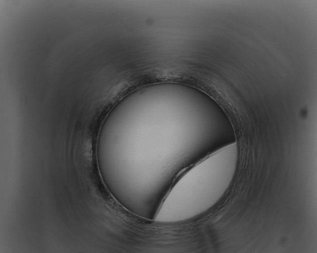 X0000094810700200711161004