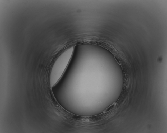 X0000094810704200711161004