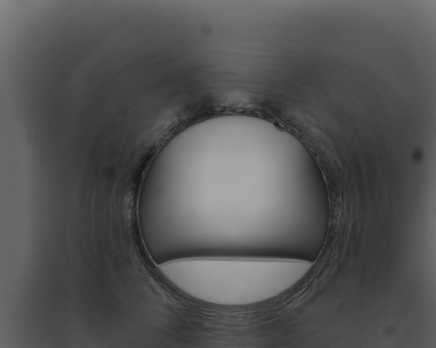 X0000094810708200711161004