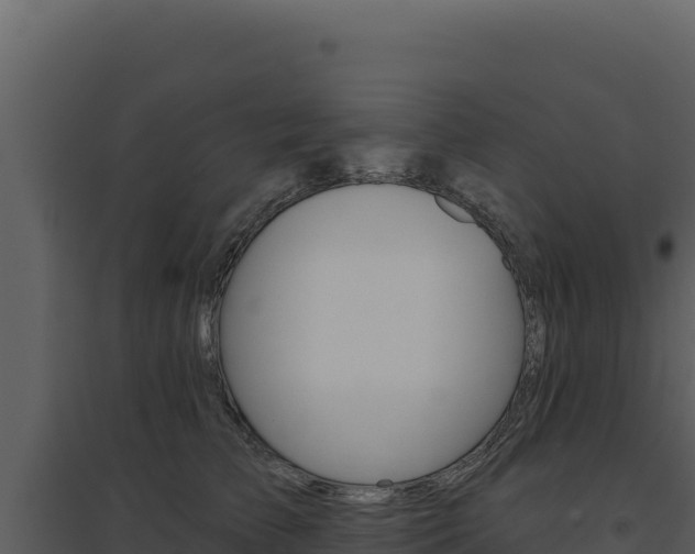 X0000094810709200711161004