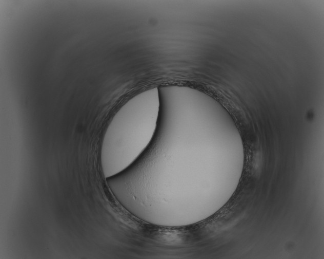 X0000094810710200711161004