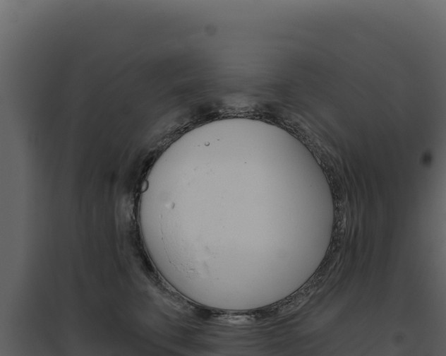 X0000094810711200711161004
