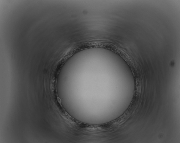 X0000094810712200711161004
