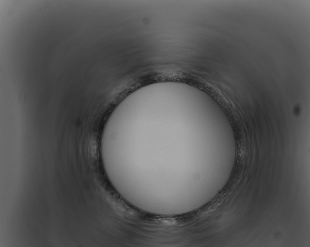 X0000094810715200711161004