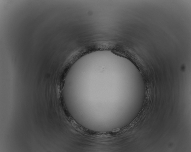 X0000094810716200711161004