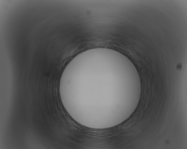 X0000094810720200711161004