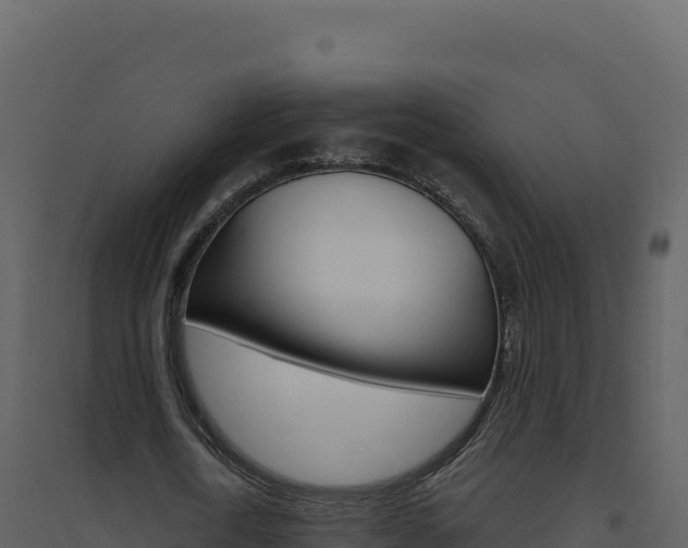 X0000094810722200711161003