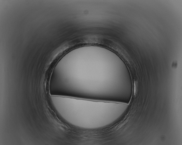 X0000094810723200711161003