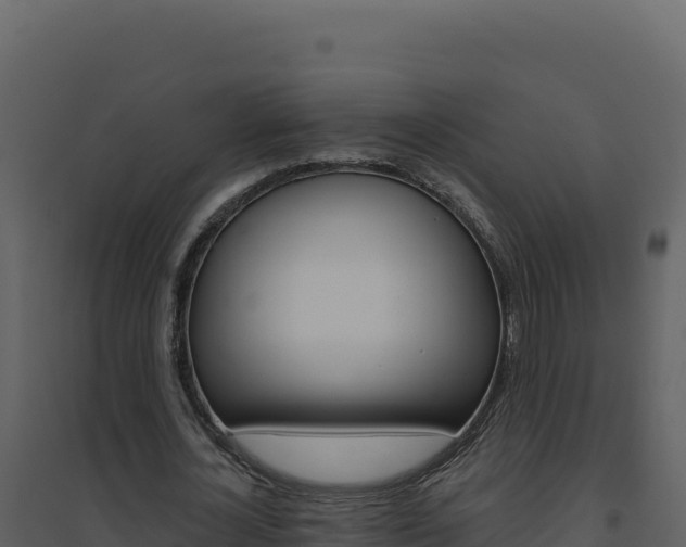 X0000094810724200711161003