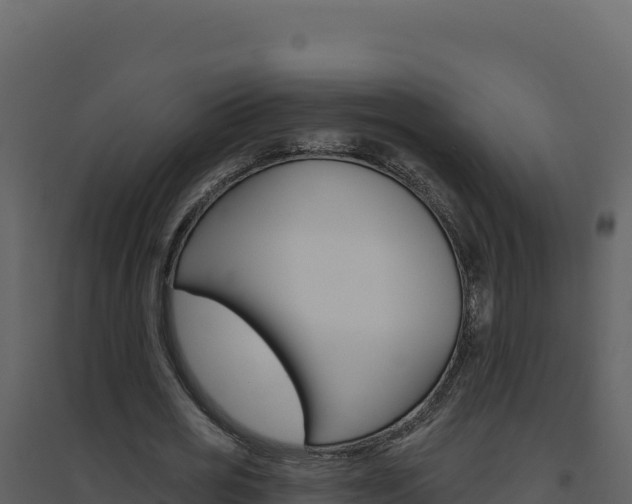X0000094810725200711161003