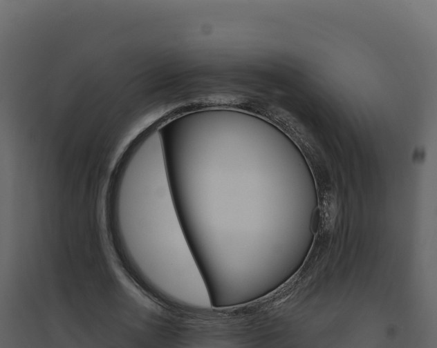 X0000094810726200711161003