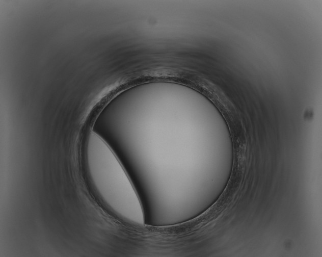 X0000094810727200711161003
