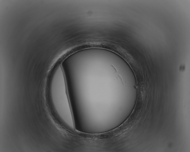 X0000094810728200711161003
