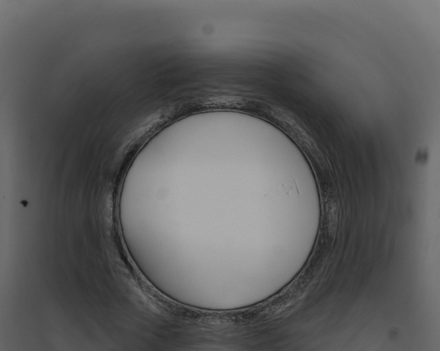 X0000094810729200711161003