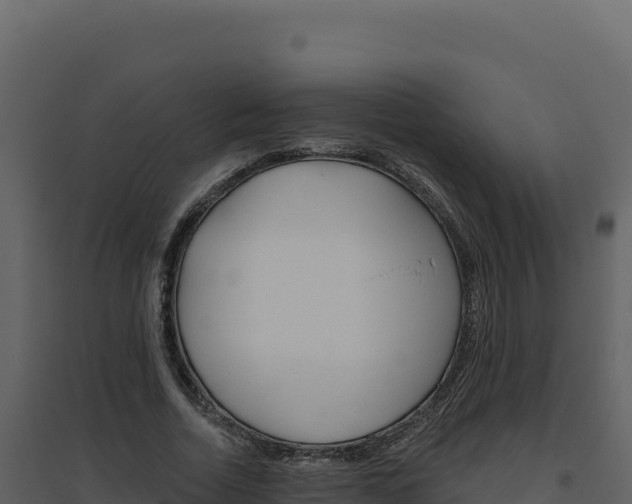 X0000094810730200711161003