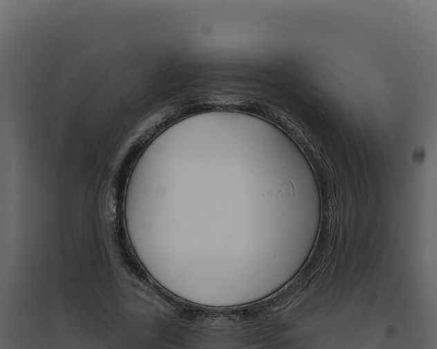 X0000094810731200711161003