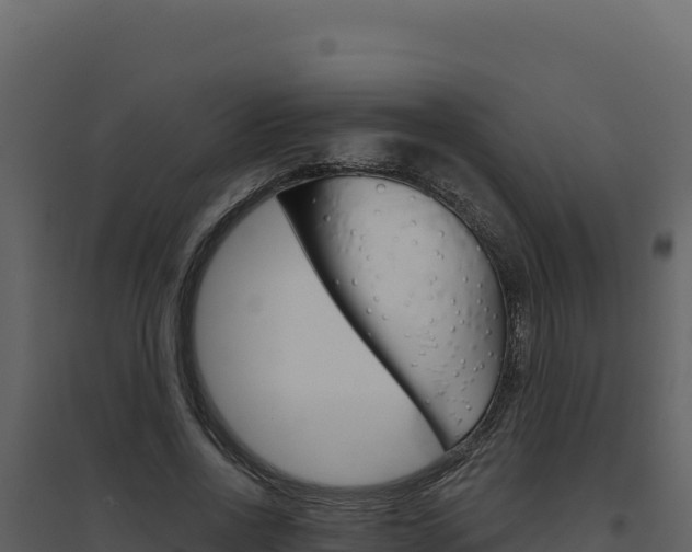 X0000094810734200711161003
