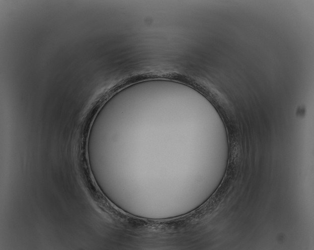 X0000094810736200711161003