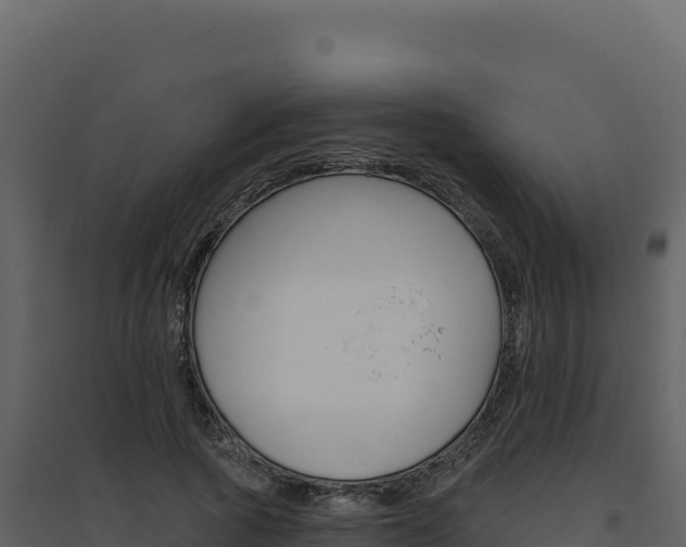X0000094810737200711161003