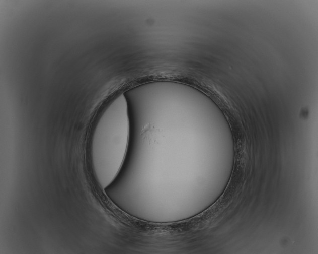 X0000094810738200711161003