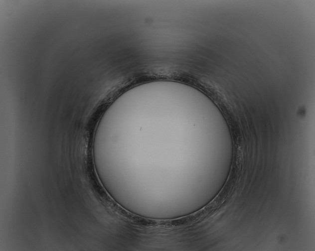 X0000094810739200711161003