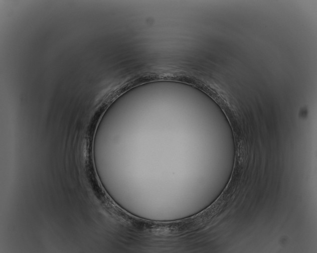 X0000094810740200711161003