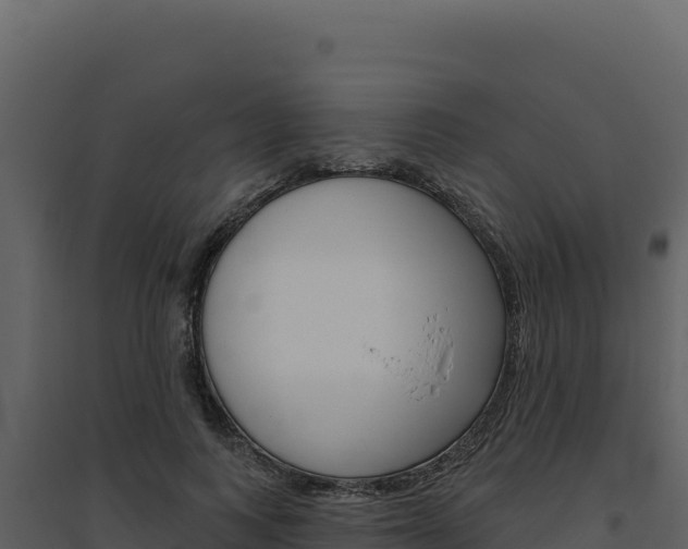 X0000094810743200711161004