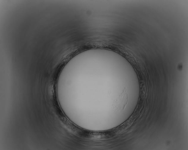 X0000094810746200711161004