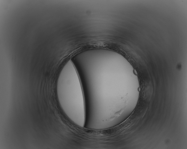 X0000094810747200711161004