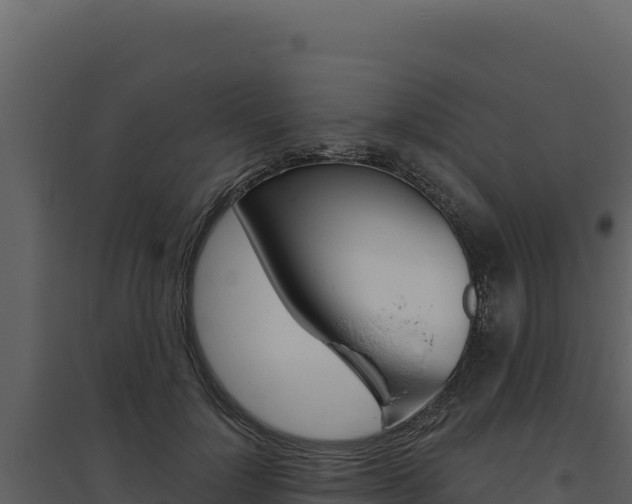 X0000094810748200711161004