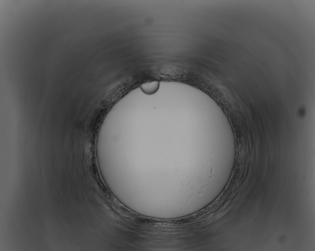 X0000094810749200711161004