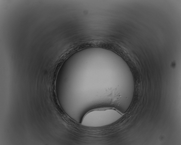 X0000094810750200711161004
