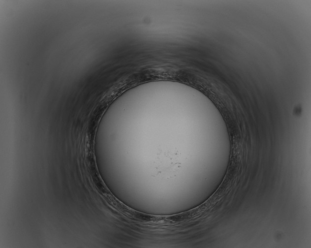 X0000094810752200711161004