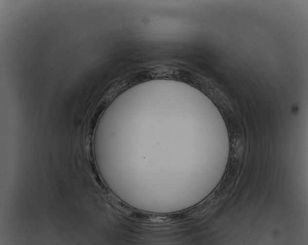 X0000094810753200711161004