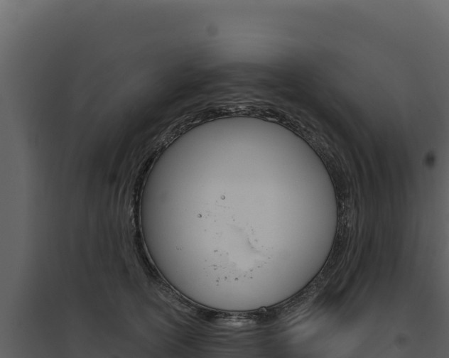 X0000094810754200711161004