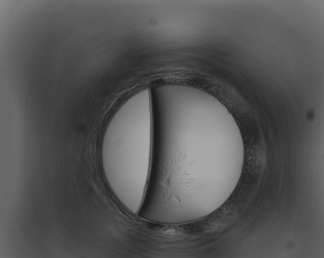 X0000094810755200711161004