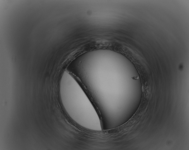 X0000094810756200711161004