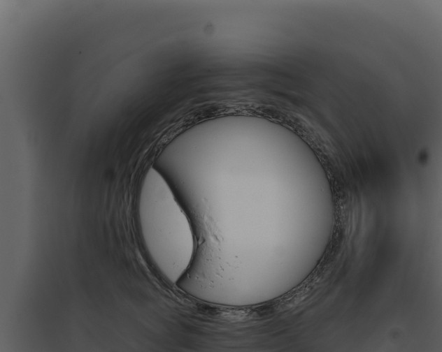 X0000094810757200711161004
