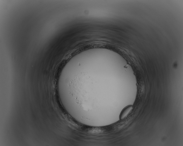 X0000094810759200711161004