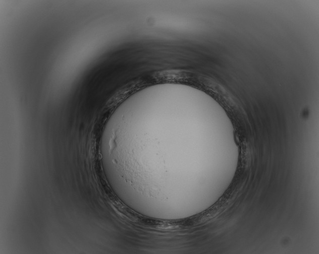 X0000094810760200711161004